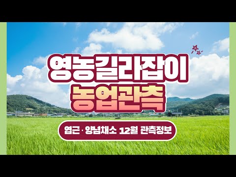 [영농길라잡이 농업관측] 엽근채소, 양념채소 12월 관측 이미지