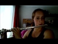 The Lion sleeps tonight Flute cover 