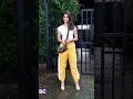 Beautiful Actress Pooja Hegde Snapped In Versova Full HD