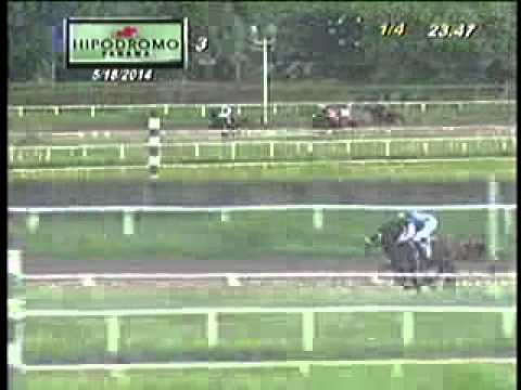 3RA CARRERA DOMINGO 18 DE MAYO 2014 HPR