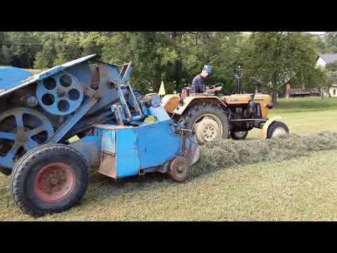 prasowanie drugiego pokosu ciapek w akcji