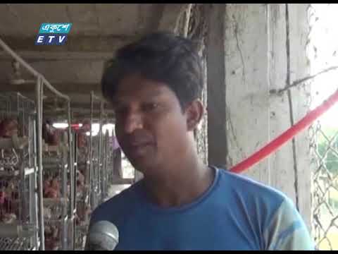 করোনার প্রভাবে সংকটে পড়েছে সাতক্ষীরার পোল্ট্রি শিল্প