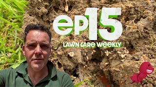 Episode 15 Lawn Care Weekly - More About How To Remove Ants From Your Lawn