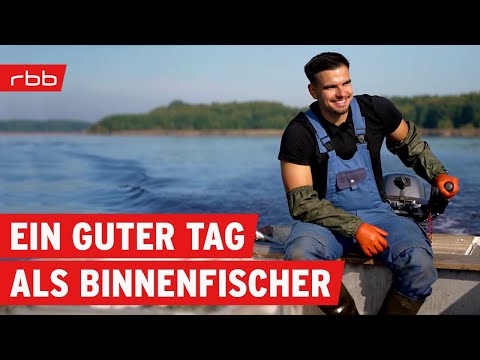 Auf dem Feld und auf dem Boot - Erntezeit im Spreewald (2/2) | Reportage | Hofgeschichten