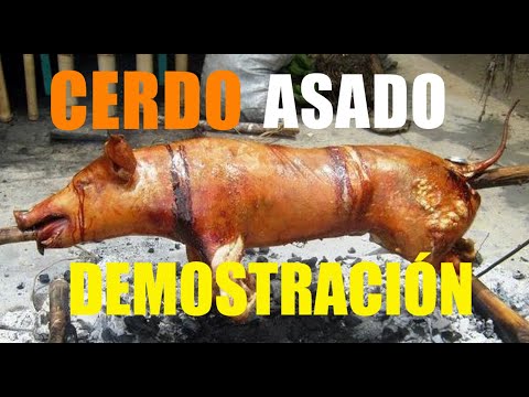 download lagu mp3 mp4 Tulus El Cerdito Y El Gorrin, download mp3 Tulus El Cerdito Y El Gorrin free download, download mp3 Tulus El Cerdito Y El Gorrin