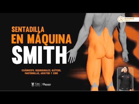2 Sentadilla en máquina Smith