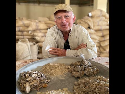 Smell Talks: Dominique Roques, at the source of the world's perfumes