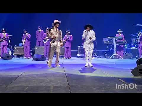 Koffi olomide: Stilla Suzuki Luzubu