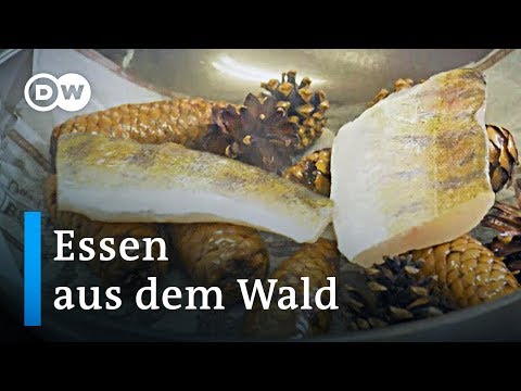 Aus dem Wald auf dem Teller | Euromaxx