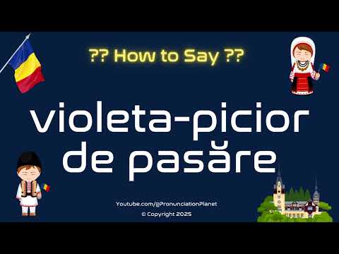💐 How to Pronounce violeta-picior de pasăre in Romanian? (CORRECTLY) | Say Words in Romanian