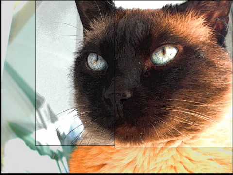 Electro & moombahton remix (2010-2011 famous tracks) - JG Remix