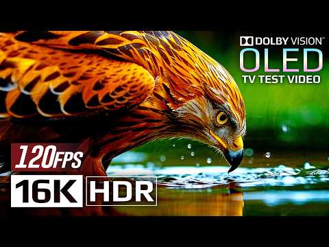 Ultra Clarity 16K HDR 120fps Dolby Vision - See the World Like Never Before