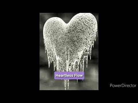 Terri Tunez- Heartless Flow [prod. by Rahil Huguley]