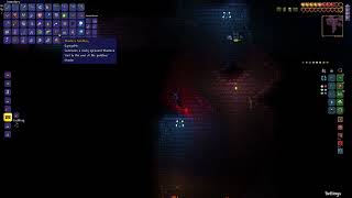 Terraria  getting a black belt and tabi From one Bone Lee