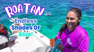 This is WHY Roatan Is A Dream Travel Destination!