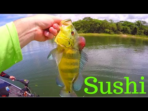 Eating RAW FRESHWATER Fish for the First Time (Sashimi)