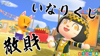 【あつ森】アプデ５日目！いなりくじで新アイテムいっぱい☺ #154 実況