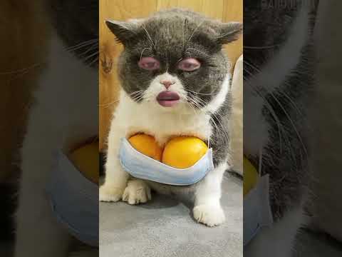 😳😳😳😳😳😳