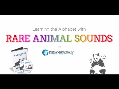 The Rare Animal Sound Effects Alphabet (read by Krump the Clown!)