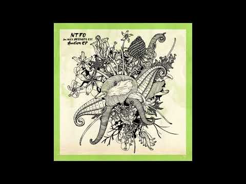 NTFO - Auction (Nick Beringer Remix) [ORG021]