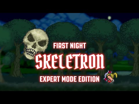 Terraria 1.3 - [Expert Mode Speedrun] Skeletron on First Night