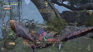 [モンハンワイルズ]金冠集めのやつサークルメンバー募集中です★