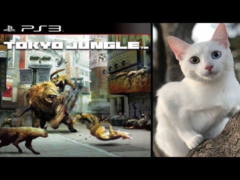 Tokyo Jungle - Lets Survive as a cat