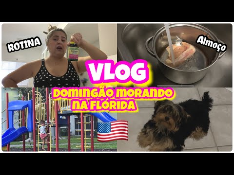 VLOG DE DOMINGO NOS ESTADOS UNIDOS + LEVAMOS ELA NO PARQUE DO CONDOMINIO