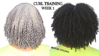 How to Train Your Natural Hair! Reduce frizz to improve wash n gos, twist outs & braid outs | Week 1