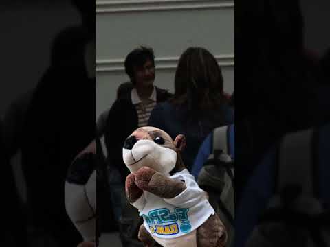 CULTURA DE LA PAZ - AGENTES DE LA PAZ - JAIME 116