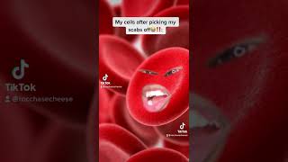 My cells after picking my scabs off😭‼️