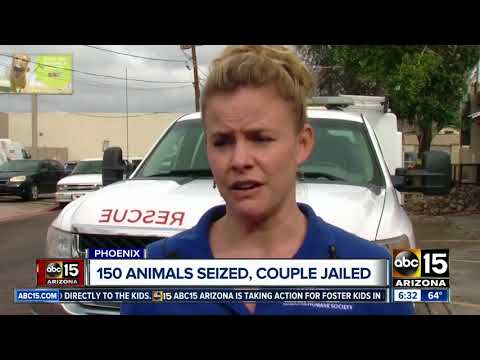150 animals seized, couple jailed after animal hoarding bust