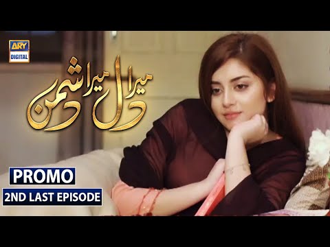 Mera Dil Mera Dushman 2nd Last Episode  - Promo - ARY Digital Drama