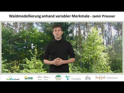 Video Thumbnail: Waldmodellierung anhand variabler Merkmale - Jamir Priesner