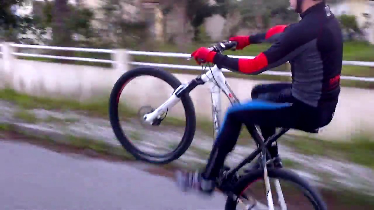 BTT Training