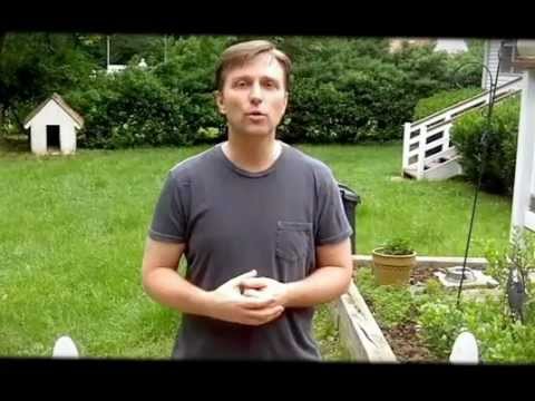 How to Improve Memory Connection between Alzheimer s Insulin – Dr Berg