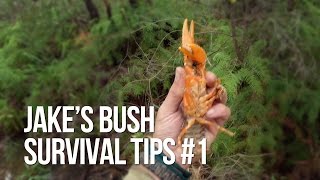 Jake's Bush Survival Tips #1