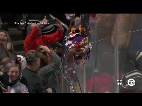 Hershey Bears set world record with stuffed animal toss at hockey game: must-see video