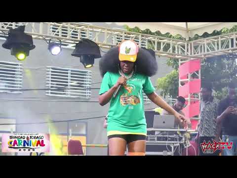 LAUNCH OF CARNIVAL 2026 _ Terri Lyons - Ask Yu Man