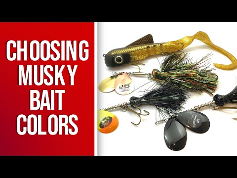 Musky Fishing Basics - Choosing Bait Colors