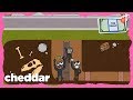 The True Story Of Brazil S Biggest Bank Heist The Vault