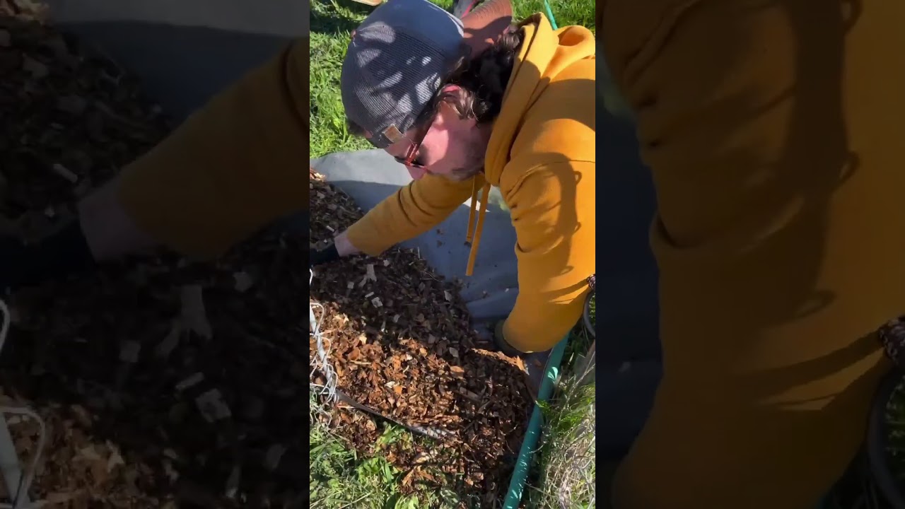 Staff and clients working together celebrates CFI values