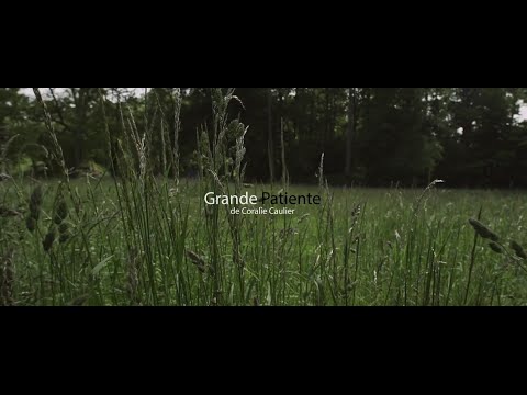 Vidéo de Coralie Caulier