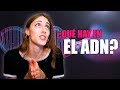 ADN: qué es, cómo funciona y cómo se expresa la información genética