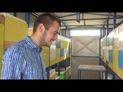 Boja meda ep.28 18.09.2018. - lekovita svojstva meda od deteline, prodaja turskog elviš meda...