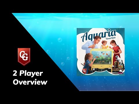 Live 2 Player Overview