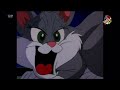 Animaniacs Pinky And The Cat Danish