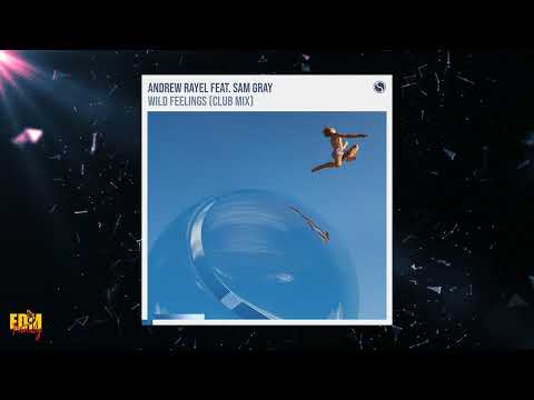 Andrew Rayel feat. Sam Gray - Wild Feelings (Original Mix)