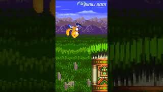 Ray in Sonic 3 ~ Sonic Shorts ~ Sonic 3 A.I.R. mods