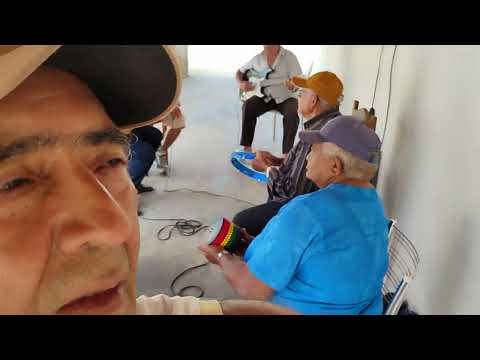 8 de setembro de 2025